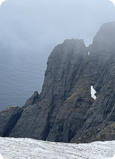 Group 1321315520 Group 1321315520