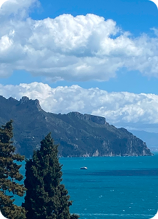 Group 1321315523 Group 1321315523